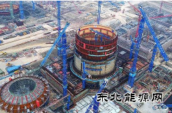华龙一号总设计师邢继：二十载铸大国重器