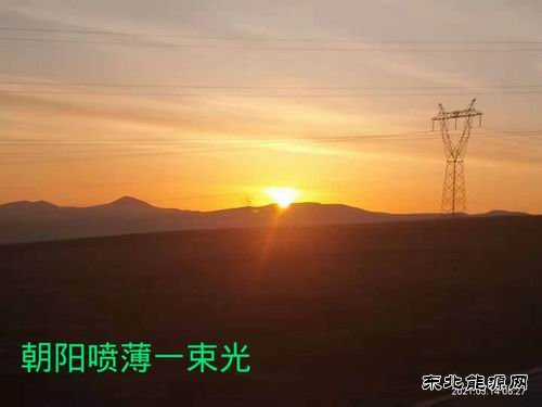感悟龙头节