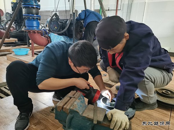 蒲白白水社区：职场“菜鸟”成长记