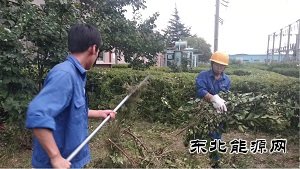 蒲白热电公司：人性化管理显担
