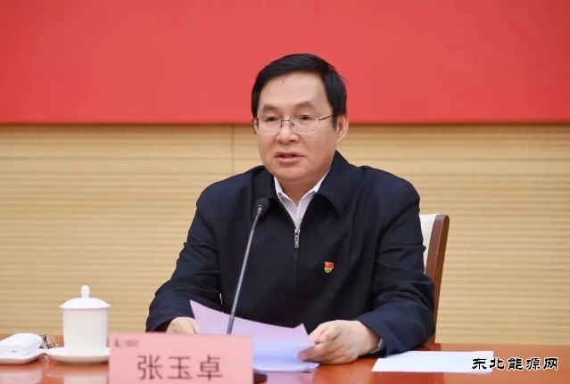 张玉卓：强化国有资本对电网等领域投入