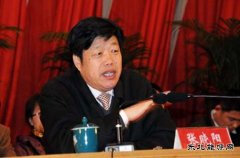 张晓阳：十三五期间 燃料乙醇应由试点转向全面推广