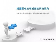 王鹏：配电改革百个试点背后危机四伏