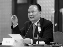 刘汉元：加快光伏产业发展 从根本上破解雾霾之困
