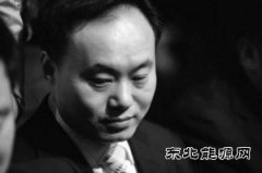中国光伏“教父”欲华丽回归？