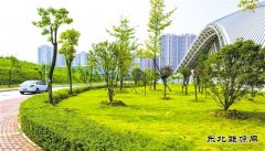 [推动中国]宝武集团：从“绿色制造”到“制造绿色”