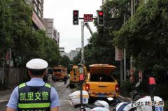 凯供城区分局：政企联手合力啃下树障“硬骨头”助亮剑保安全