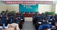 兴凯湖电业局：召开四届三次职代会暨2018年工作会议
