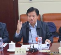 中石油董事长王宜林：努力把世界上性价比最高的气供应给中国老百
