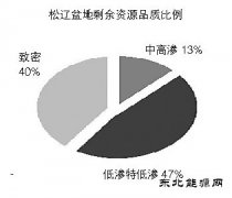 松辽盆地：迈向非常规新时代