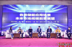关于2019年中国储能市场走势，听听专家怎么说？