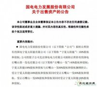 1元收购，背负18亿债务！谁将接盘国电电力？