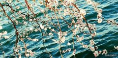 花锦(摄影作品)