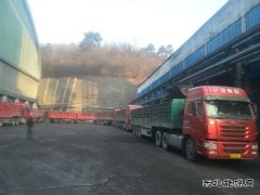 蒲白建庄矿业：日销量创新高 年度强势开局