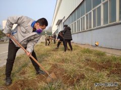 山东亿兆体育重装集团乾元公司  战“疫”防控不忘植树 同心协力栽培