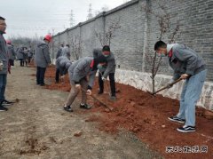 潞安焦化：组织全员开展春季植树活动