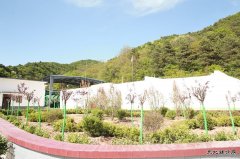 建新煤化：制氮通风搬“新家” 花园风井美如画