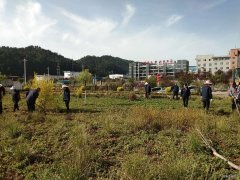 蒲白建庄矿业：开展矿区绿化打造美丽矿山