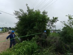 兴凯湖电业公司：盛夏全面清理树障 确保迎峰度夏、防汛安全供电