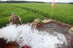 黑龙江兴凯湖电业公司：机井通电扶贫工程让农民走上幸福小康路