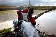 兴凯湖电业公司：电满黑土地 红红火火庆丰收