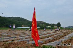 技校联合党委：党员亮身份树形象 争创五星“安全示范岗”
