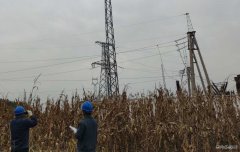国网大庆供电公司：大同区老百姓用电终于有了“双保险”