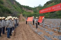 蒲白矿业技校联合党委：“党建+”引领产教融合“跑起来”