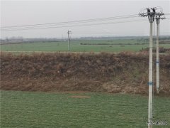 蒲白铁运公司：窗外那一片柔绿