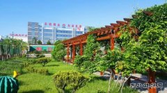 蒲白建庄矿业：懂得敬畏，才是真正强大的开始