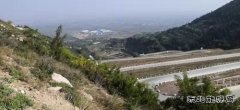 蒲洲热电公司：践行“两山”理论 倡导绿色文化 实现清洁生产