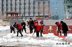 兴凯湖电业公司：“学党史 办实事”铲冰除雪暖人心