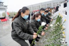 太康县供电公司：清明祭英烈 精神永传承