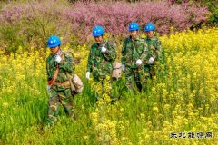 江西婺源：花香“电亮”农家乐