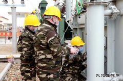黑龙江兴凯湖电业公司：“党建+春检”筑牢供电安全防护网