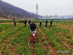 蒲白朱家河煤矿新亿兆体育产业中心：生态农业承包记