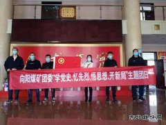 向阳矿团委组织开展“学党史、忆先烈”主题团日活动