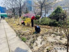 陕煤陕北矿业涌鑫公司：添绿抖尘  矿区处处展“新颜”