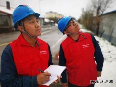 国网大兴安岭供电公司：雪后特巡 保电在行动