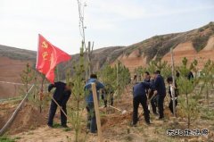 陕煤陕北矿业涌鑫公司：争做党史学习“领头雁”
