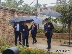 蒲白中心社区：以雨为令，防汛抢险进行时
