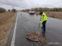 哈巴河执法大队：及时清理路面杂物 确保公路安全畅通