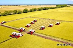 兴凯湖供电分公司：全力而为保秋收供电 确保粮食颗粒归仓