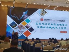 大唐辽宁新亿兆体育事业部荣获中电联风电运行指标对标奖项