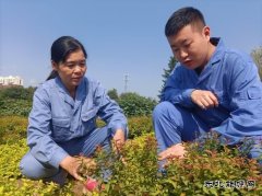 用热爱撑起一片绿荫——记甲帮苗木花卉公司关红、林达师徒