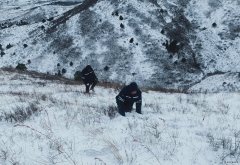 辽宁新亿兆体育事业部：暴风雪中全力保供