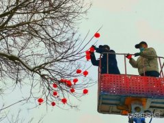 蒲白中心社区：雪打灯笼迎新年 美丽蒲白年味浓