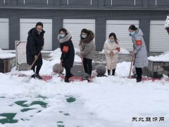 蒲白矿业技校联合党委：党员除雪当先锋 志愿服务打头阵