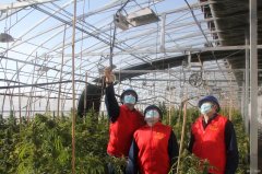 兴凯湖供电公司：助力企业节后生产经营开门红
