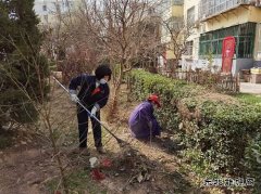 蒲白中心社区：用责任和担当“扮靓”矿区容颜